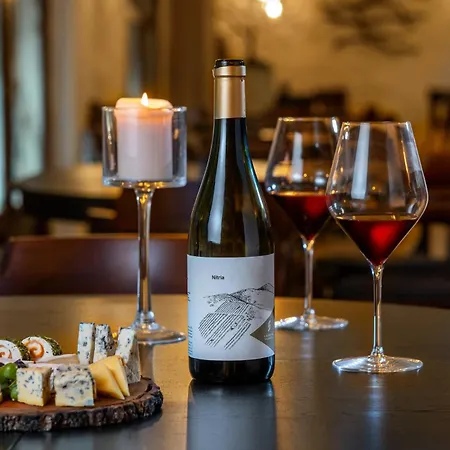 Hotel Golden Eagle Levice